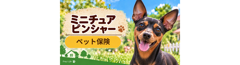 ミニチュアピンシャーのペット保険料はいくら？加入前に確認したい補償と費用