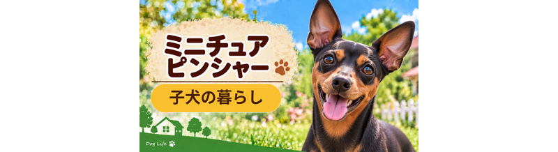 ミニチュアピンシャーの子犬を迎えた1週間でやること｜食事・トイレ・生活環境