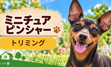 ミニチュアピンシャーのトリミング代はいくら？頻度と年間費用を計算