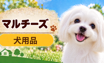 マルチーズ向け犬用品の選び方｜ケージ・ベッド・ハーネスをまとめて確認