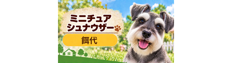 ミニチュアシュナウザーの餌代は月いくら？体重からドッグフード代をシミュレーション