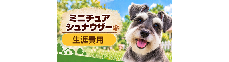 ミニチュアシュナウザーの生涯費用はいくら？子犬からシニアまで長期で考える