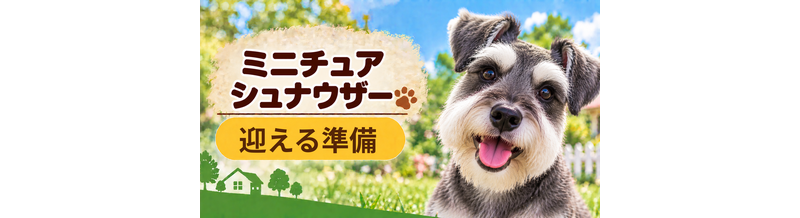 ミニチュアシュナウザーを迎えるときに必要なもの｜サイズ選びと初期費用