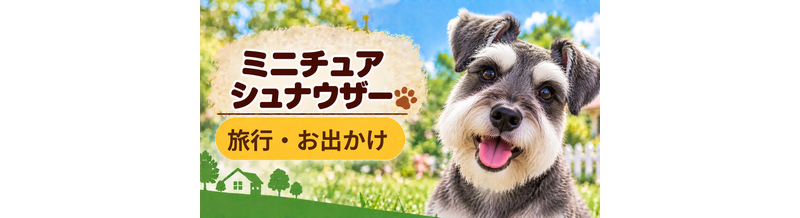 ミニチュアシュナウザーと旅行するときの持ち物｜移動・宿泊で役立つ犬用品