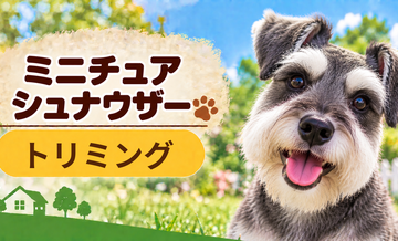ミニチュアシュナウザーのトリミング代はいくら？頻度と年間費用を計算