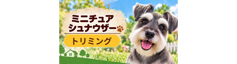ミニチュアシュナウザーのトリミング代はいくら？頻度と年間費用を計算