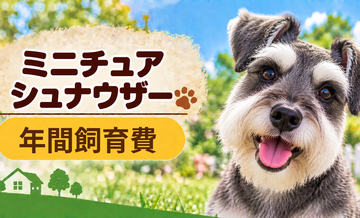 ミニチュアシュナウザーの年間飼育費はいくら？固定費と臨時出費をまとめて計算