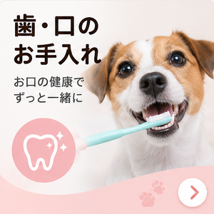 爪切り・肉球ケア