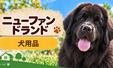 ニューファンドランド向け犬用品の選び方｜ケージ・ベッド・ハーネスをまとめて確認