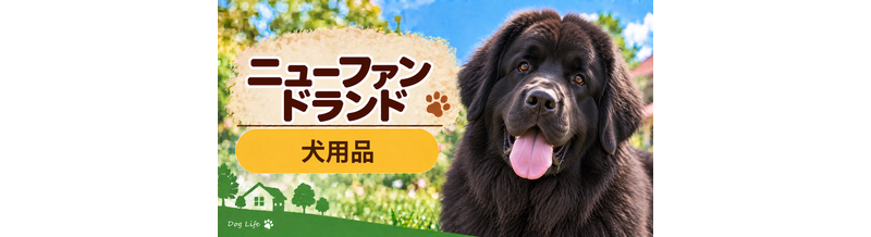 ニューファンドランド向け犬用品の選び方｜ケージ・ベッド・ハーネスをまとめて確認