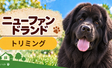 ニューファンドランドのトリミング代はいくら？頻度と年間費用を計算