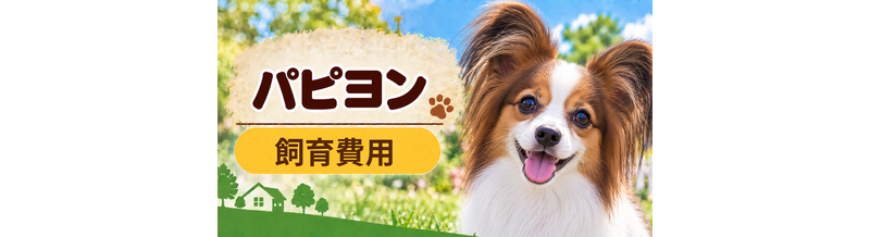パピヨンを飼う費用はいくら？初期費用・年間費用・生涯費用を解説