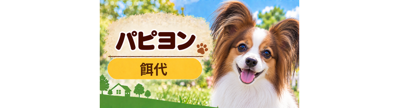パピヨンの餌代は月いくら？体重からドッグフード代をシミュレーション