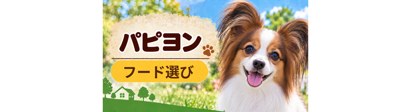 パピヨンのドッグフードはどう選ぶ？年齢・体格・食べ方に合わせた選び方