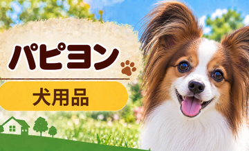 パピヨン向け犬用品の選び方｜ケージ・ベッド・ハーネスをまとめて確認
