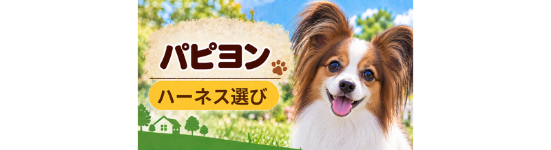 パピヨンのハーネス選び｜サイズ測定とフィット感のチェック