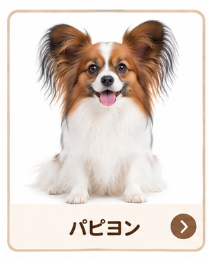 パピヨン
