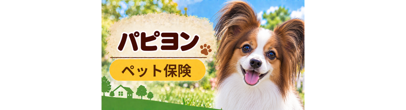パピヨンのペット保険料はいくら？加入前に確認したい補償と費用