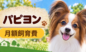 パピヨンの飼育費は月いくら？食費・日用品・保険料を家計シミュレーション