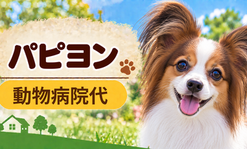 パピヨンの動物病院代は年間いくら？健康診断・予防・急な通院に備える