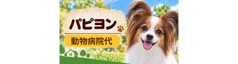 パピヨンの動物病院代は年間いくら？健康診断・予防・急な通院に備える