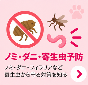 ノミ・ダニ・寄生虫予防