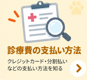 診療費の支払い方法
