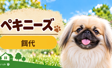 ペキニーズの餌代は月いくら？体重からドッグフード代をシミュレーション