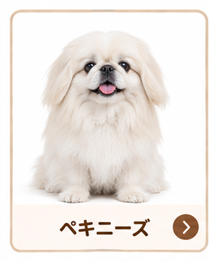 ペキニーズ