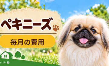 ペキニーズの飼育費は月いくら？食費・日用品・保険料を家計シミュレーション