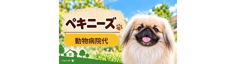 ペキニーズの動物病院代は年間いくら？健康診断・予防・急な通院に備える