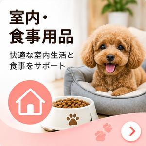 遊び・運動用品