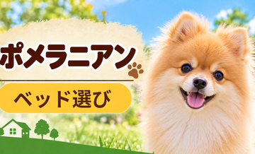 ポメラニアンのベッド選び｜体格・季節・洗いやすさで比較
