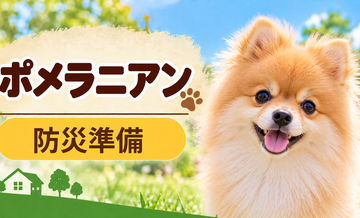 ポメラニアンの防災準備｜避難時に必要な用品と持ち出しリスト