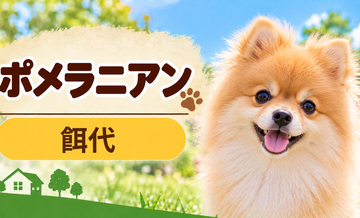 ポメラニアンの餌代は月いくら？体重からドッグフード代をシミュレーション