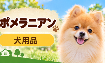 ポメラニアン向け犬用品の選び方｜ケージ・ベッド・ハーネスをまとめて確認