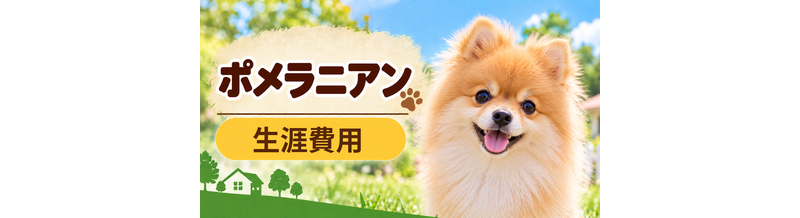 ポメラニアンの生涯費用はいくら？子犬からシニアまで長期で考える