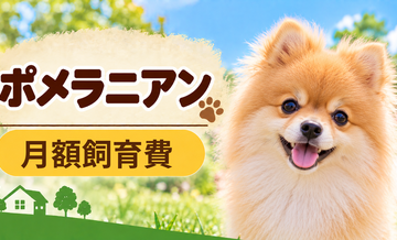 ポメラニアンの飼育費は月いくら？食費・日用品・保険料を家計シミュレーション