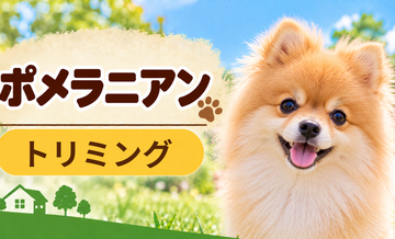 ポメラニアンのトリミング代はいくら？頻度と年間費用を計算