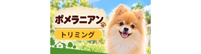 ポメラニアンのトリミング代はいくら？頻度と年間費用を計算