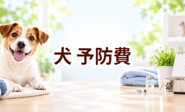 犬の予防費はいくらかかる？年間予算の立て方と節約ポイント