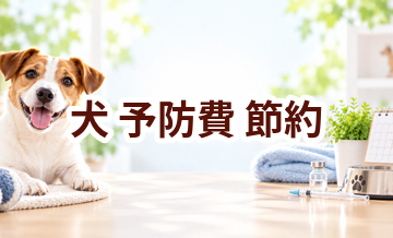 犬の予防費を抑えるには？無理なく続ける節約方法