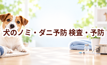 犬のノミ・ダニ予防はいつ受ける？受診前に知っておきたいこと