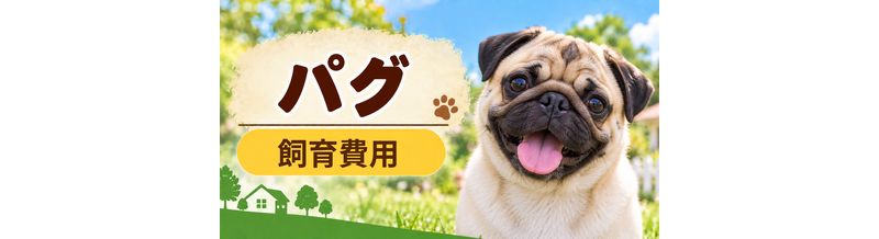 パグを飼う費用はいくら？初期費用・年間費用・生涯費用を解説