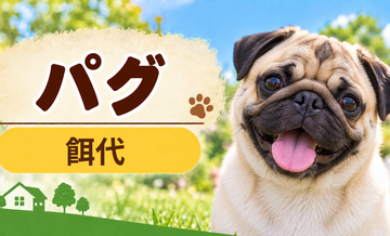 パグの餌代は月いくら？体重からドッグフード代をシミュレーション