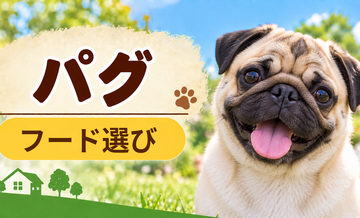 パグのドッグフードはどう選ぶ？年齢・体格・食べ方に合わせた選び方