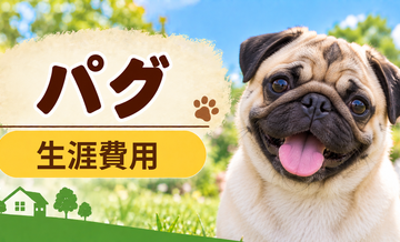 パグの生涯費用はいくら？子犬からシニアまで長期で考える