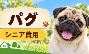 シニア期のパグにかかる費用｜食事・医療・介護の準備