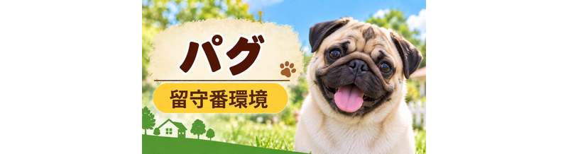 パグの留守番環境を整える｜安全対策と便利グッズ