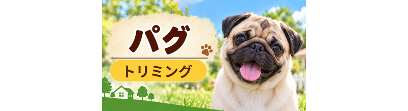 パグのトリミング代はいくら？頻度と年間費用を計算